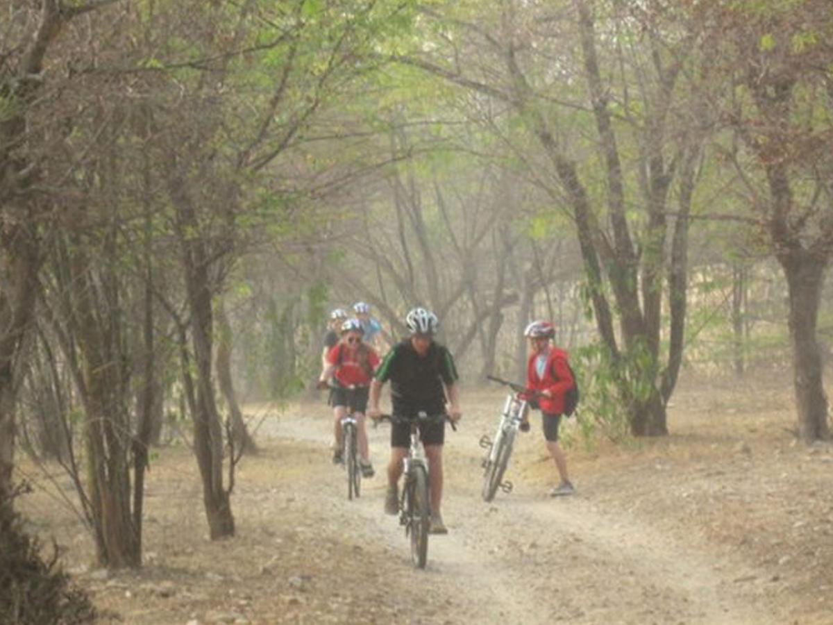 Corbett Treat Resort Ramnagar  Exteriér fotografie