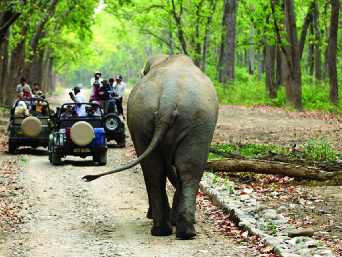 Corbett Treat Resort Ramnagar  Exteriér fotografie