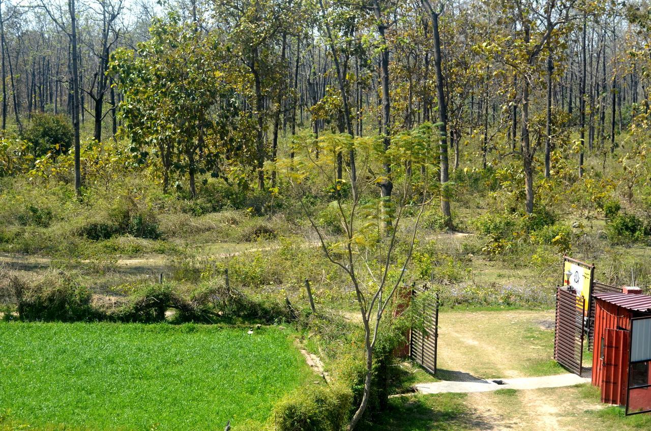 Corbett Treat Resort Ramnagar  Exteriér fotografie